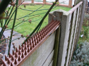 ALDOTRADE Hroty ochranné proti holubům PE 4,5x50cm